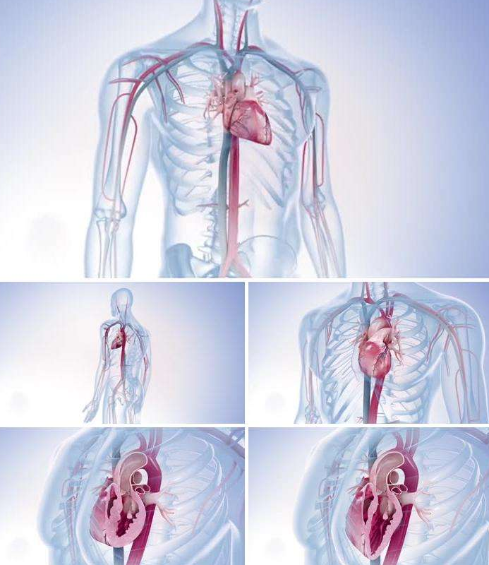 三維動畫視頻制作在醫療醫學行業的應用范圍有哪些?{my:seotitle}
